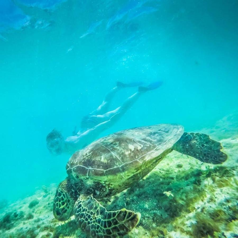 Tailua Beach Fales Manase Экстерьер фото